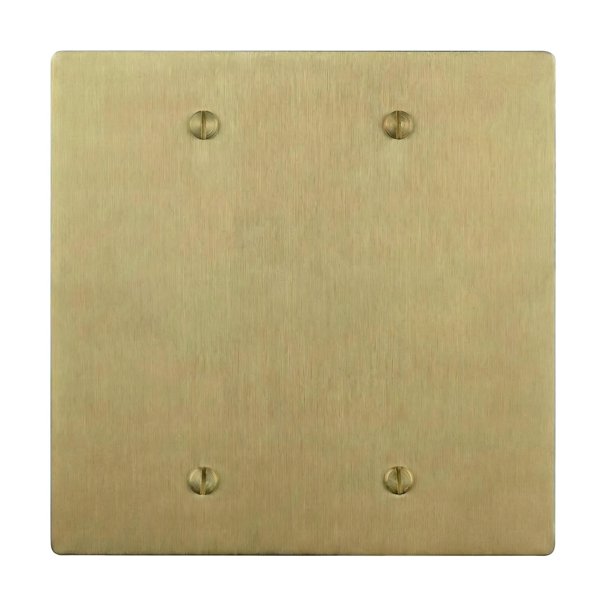 Satin brass 2-gang switch plate