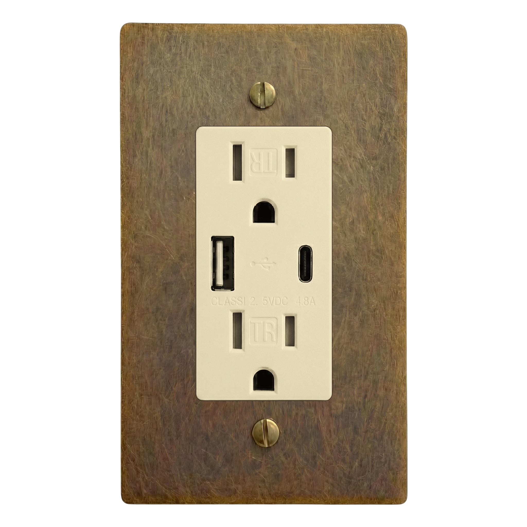 Aged Brass 1-Gang USB Outlet Switch Plate in Ivory
