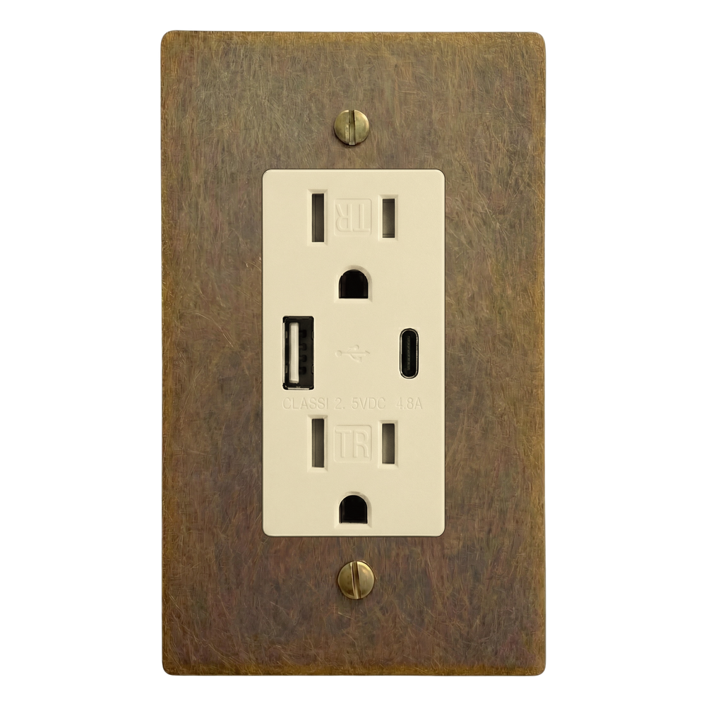 Aged Brass 1-Gang USB Outlet Switch Plate in Ivory