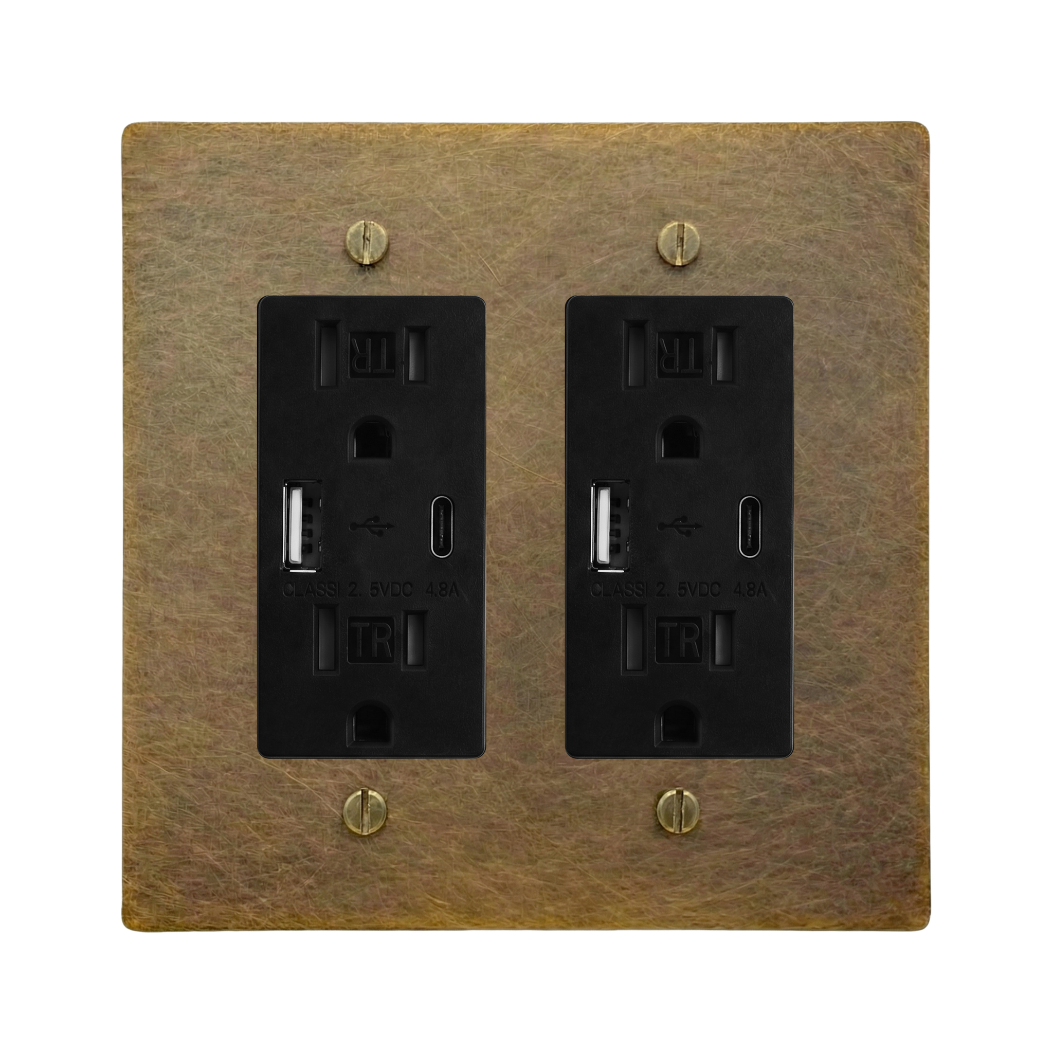 Aged Brass 2-Gang USB Outlet & USB Outlet Switch Plate in Black