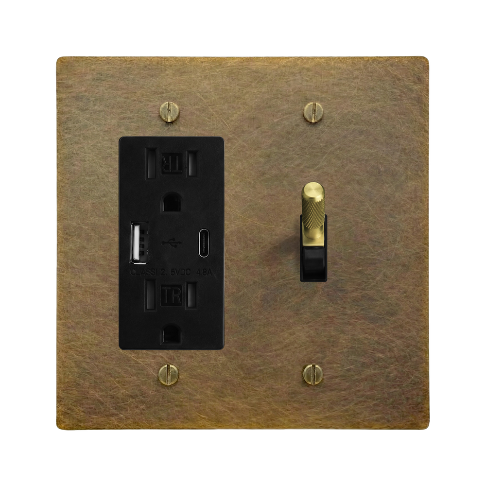Aged Brass 2-Gang USB Outlet & Toggle Switch Plate in Black