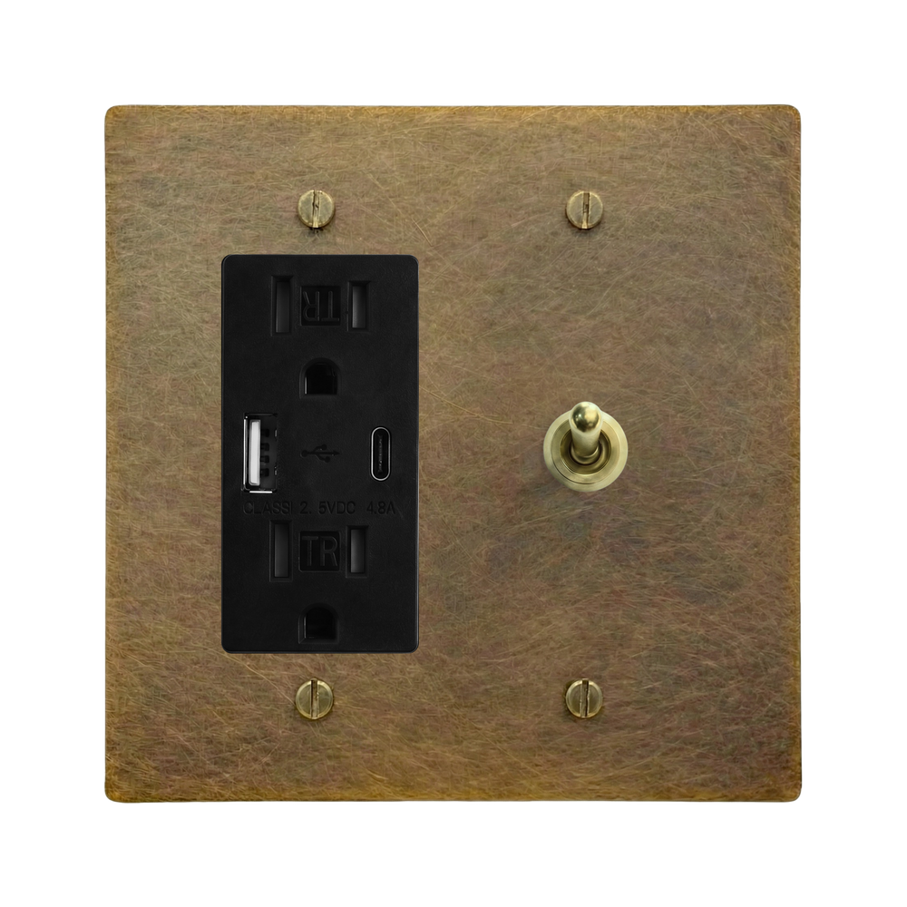 Aged Brass 2-Gang USB Outlet & Vintage Toggle Switch Plate in Black