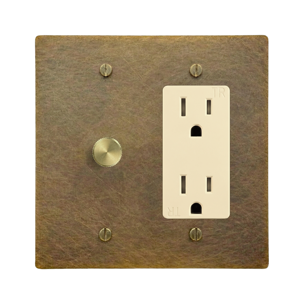 Aged Brass 2-Gang Dimmer & Duplex Outlet Switch Plate in Ivory