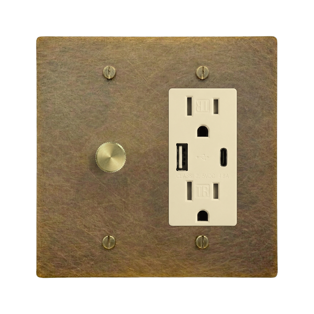 Aged Brass 2-Gang Dimmer & USB Outlet Switch Plate in Ivory