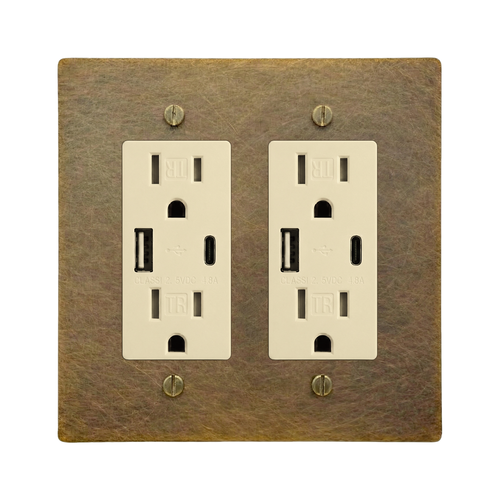 Aged Brass 2-Gang USB Outlet & USB Outlet Switch Plate in Ivory