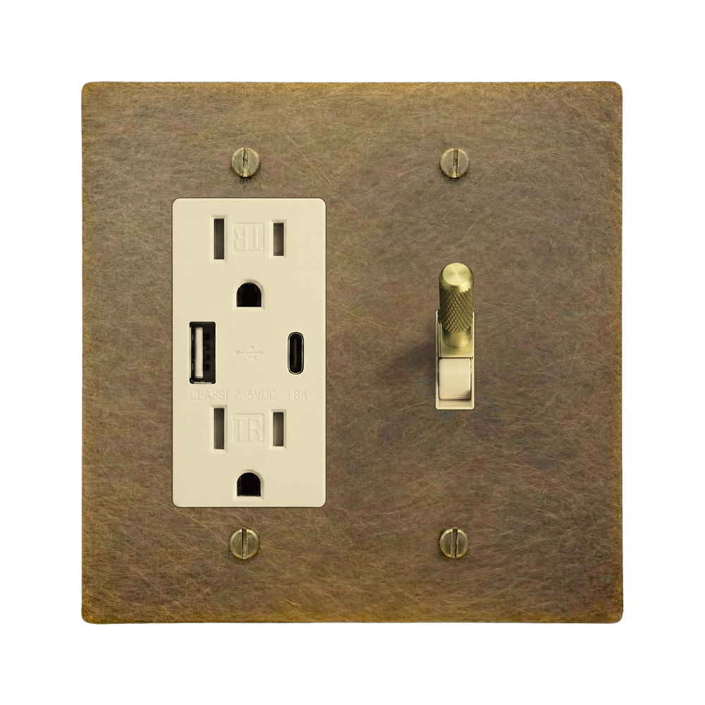 Aged Brass 2-Gang USB Outlet & Toggle Switch Plate in Ivory