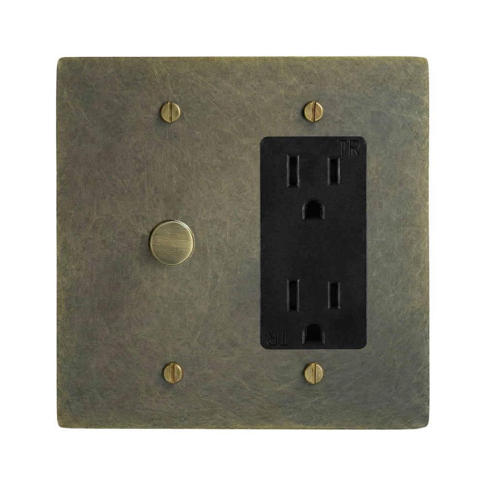 Antique Brass 2-Gang Dimmer & Duplex Outlet Switch Plate in Black