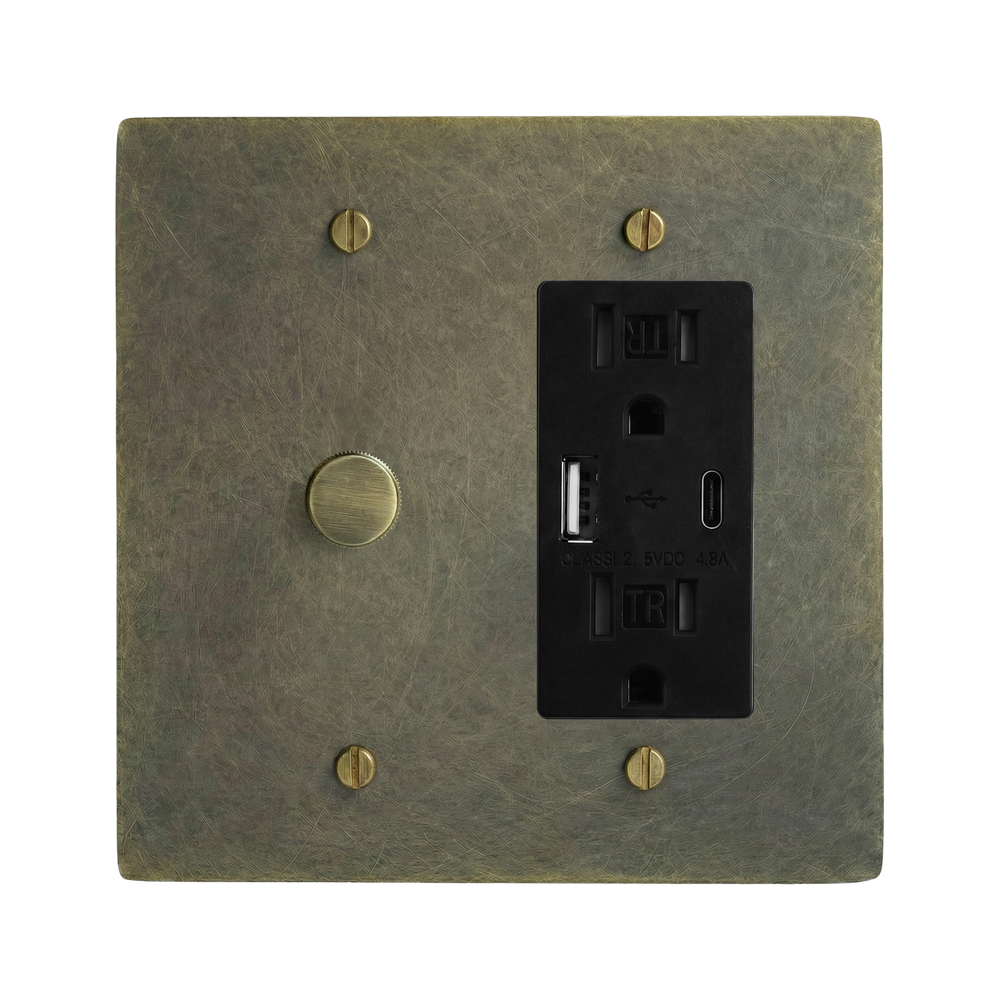Antique Brass 2-Gang Dimmer & USB Outlet Switch Plate in Black