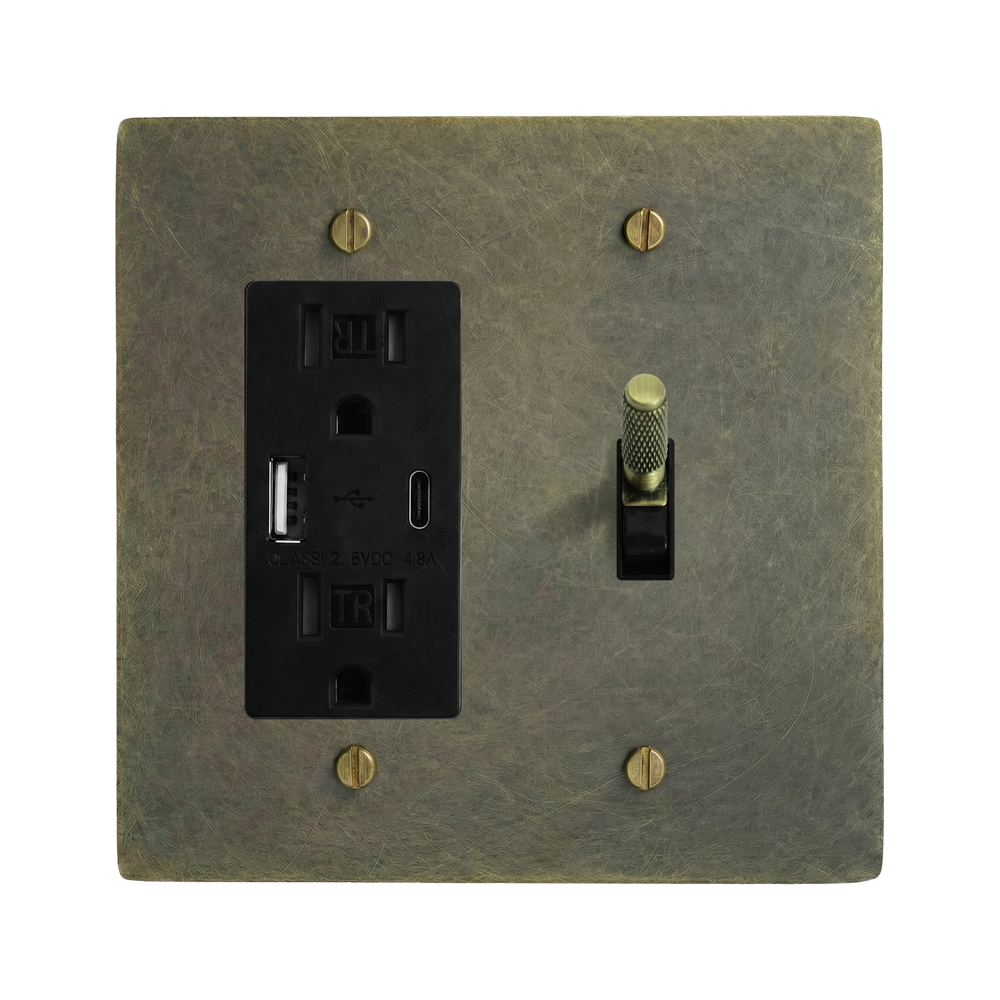 Antique Brass 2-Gang USB Outlet & Toggle Switch Plate in Black