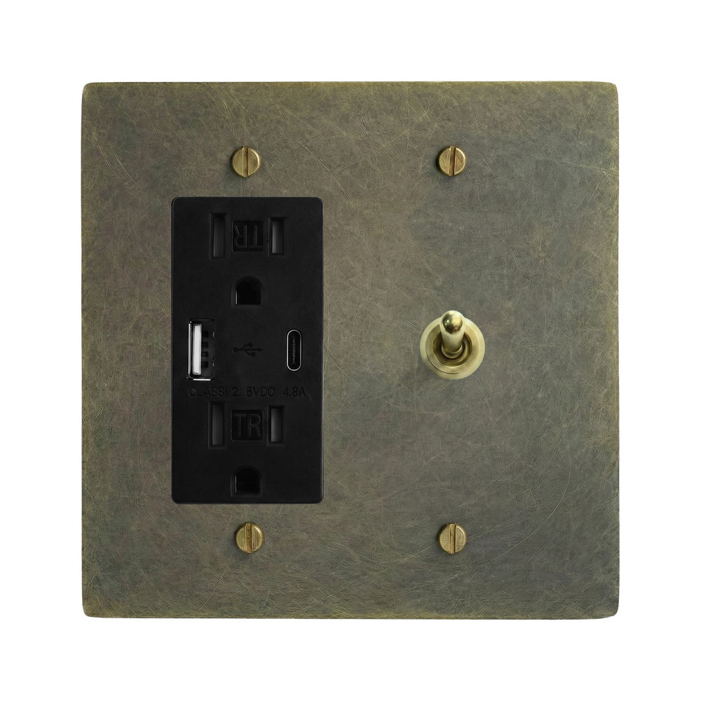 Antique Brass 2-Gang USB Outlet & Vintage Toggle Switch Plate in Black