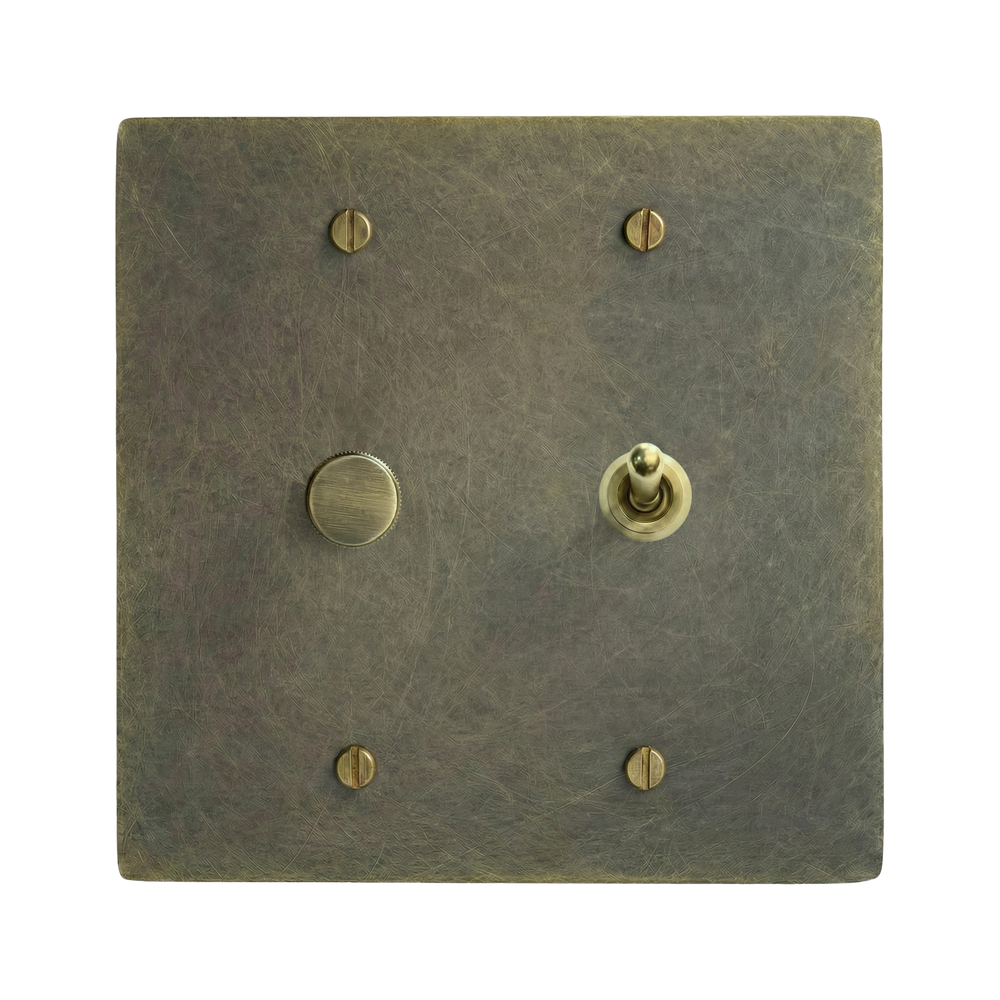Antique Brass 2-Gang Dimmer & Vintage Toggle Switch Plate