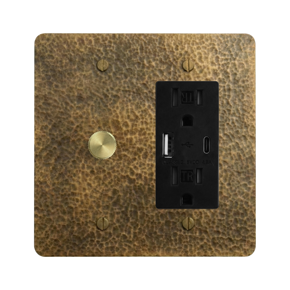 Hammered Brass 2-Gang Dimmer & USB Outlet Switch Plate in Black