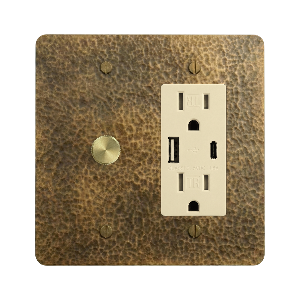 Hammered Brass 2-Gang Dimmer & USB Outlet Switch Plate in Ivory