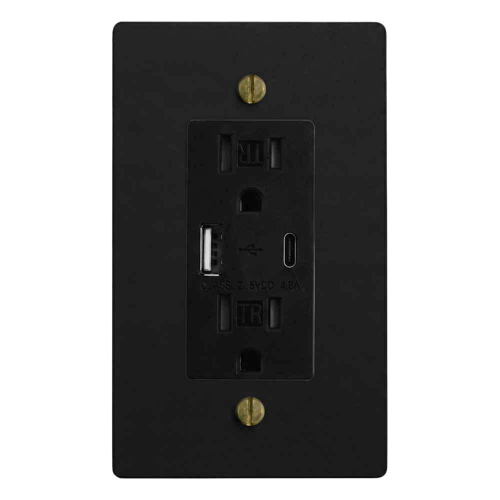 Matte Black (Antique Brass Accents) 1-Gang USB Outlet Switch Plate in Black