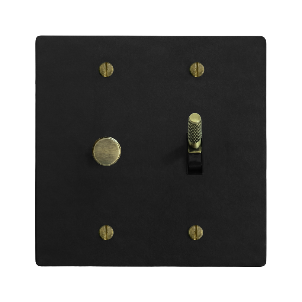 Matte Black (Antique Brass Accents) 2-Gang Dimmer & Toggle Switch Plate in Black