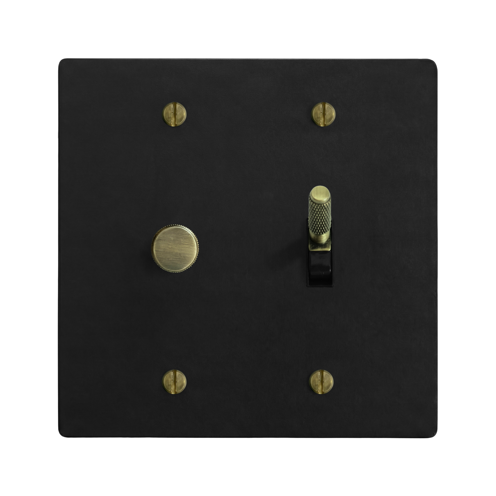 Matte Black (Antique Brass Accents) 2-Gang Dimmer & Toggle Switch Plate in Black