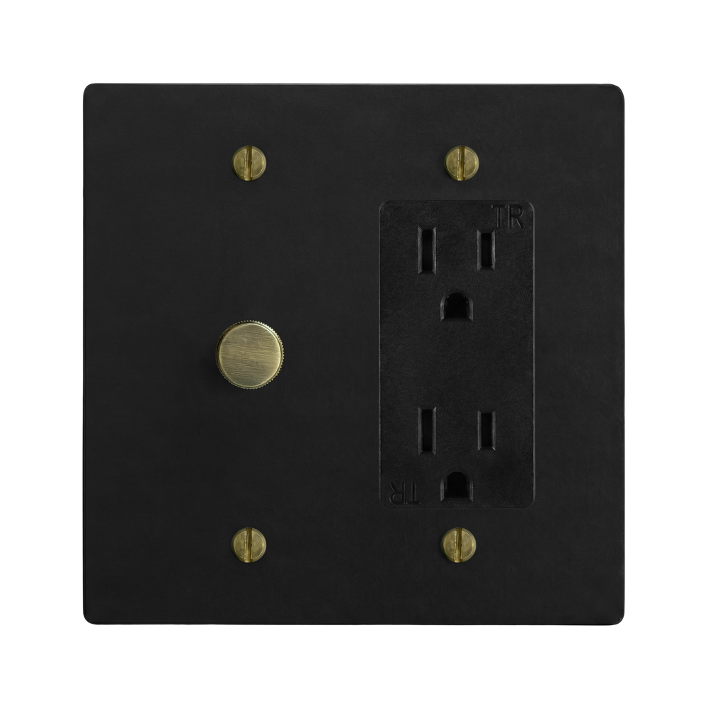 Matte Black (Antique Brass Accents) 2-Gang Dimmer & Duplex Outlet Switch Plate in Black