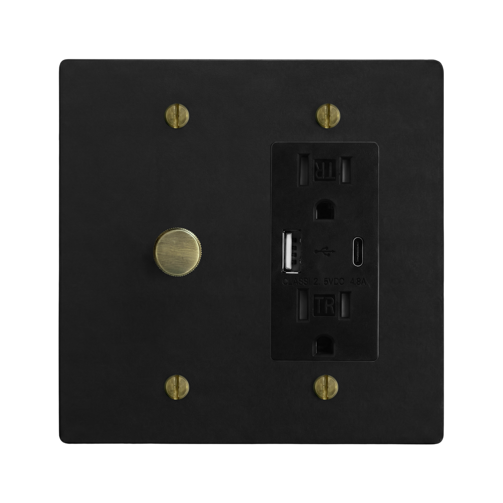 Matte Black (Antique Brass Accents) 2-Gang Dimmer & USB Outlet Switch Plate in Black