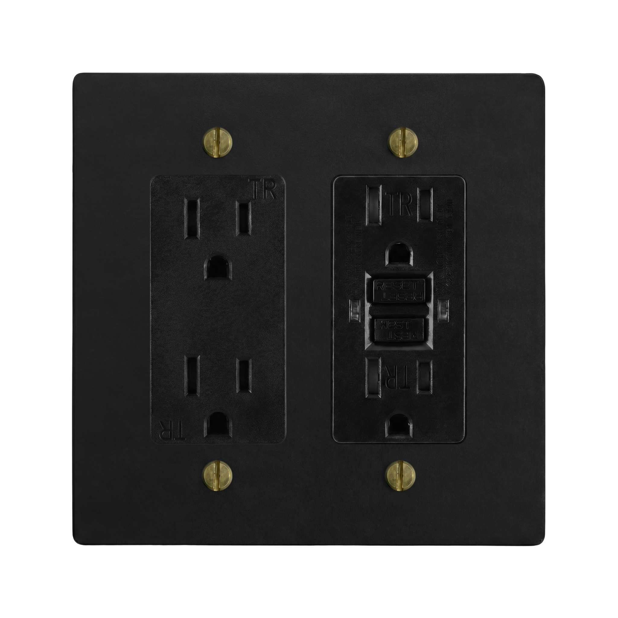 Matte Black (Antique Brass Accents) 2-Gang Duplex Outlet & GFCI Outlet Switch Plate in Black
