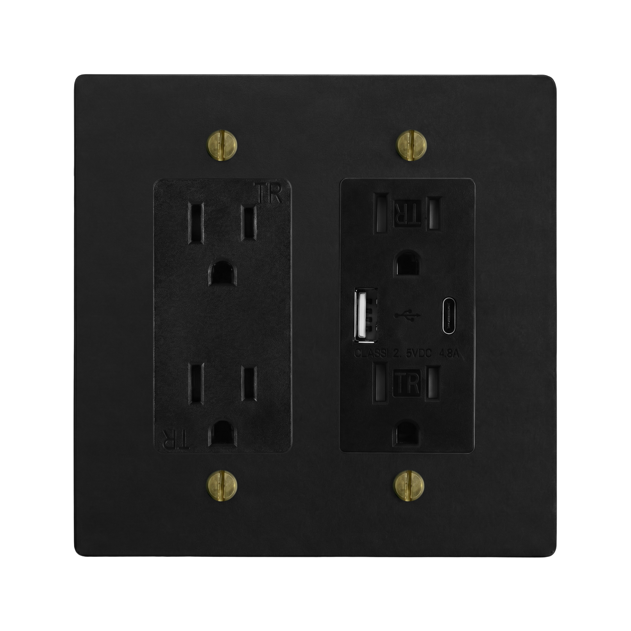 Matte Black (Antique Brass Accents) 2-Gang Duplex Outlet & USB Outlet Switch Plate in Black