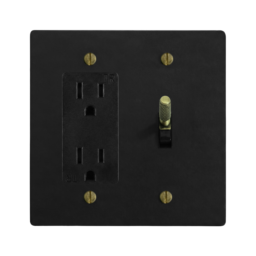 Matte Black (Antique Brass Accents) 2-Gang Duplex Outlet & Toggle Switch Plate in Black