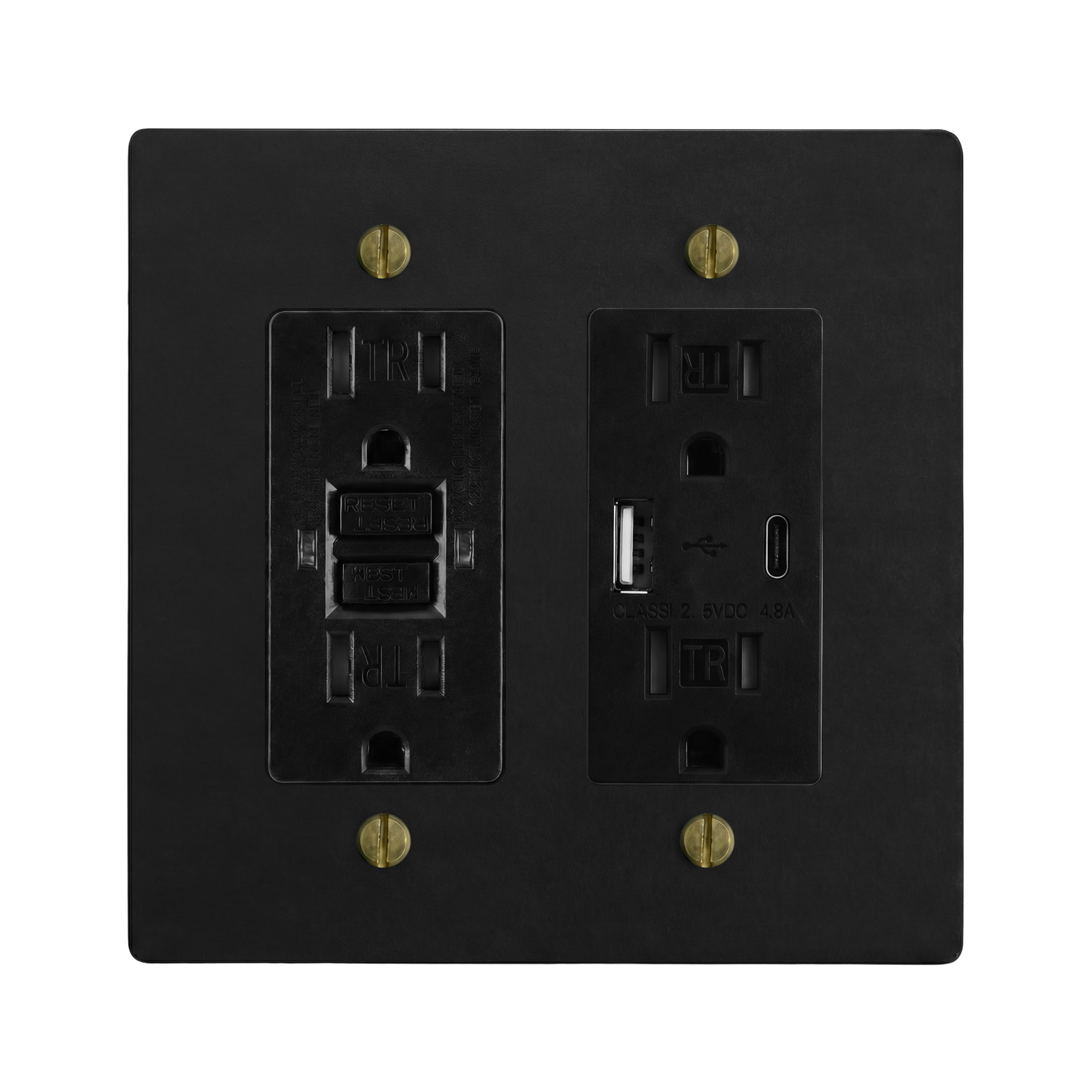 Matte Black (Antique Brass Accents) 2-Gang GFCI Outlet & USB Outlet Switch Plate in Black