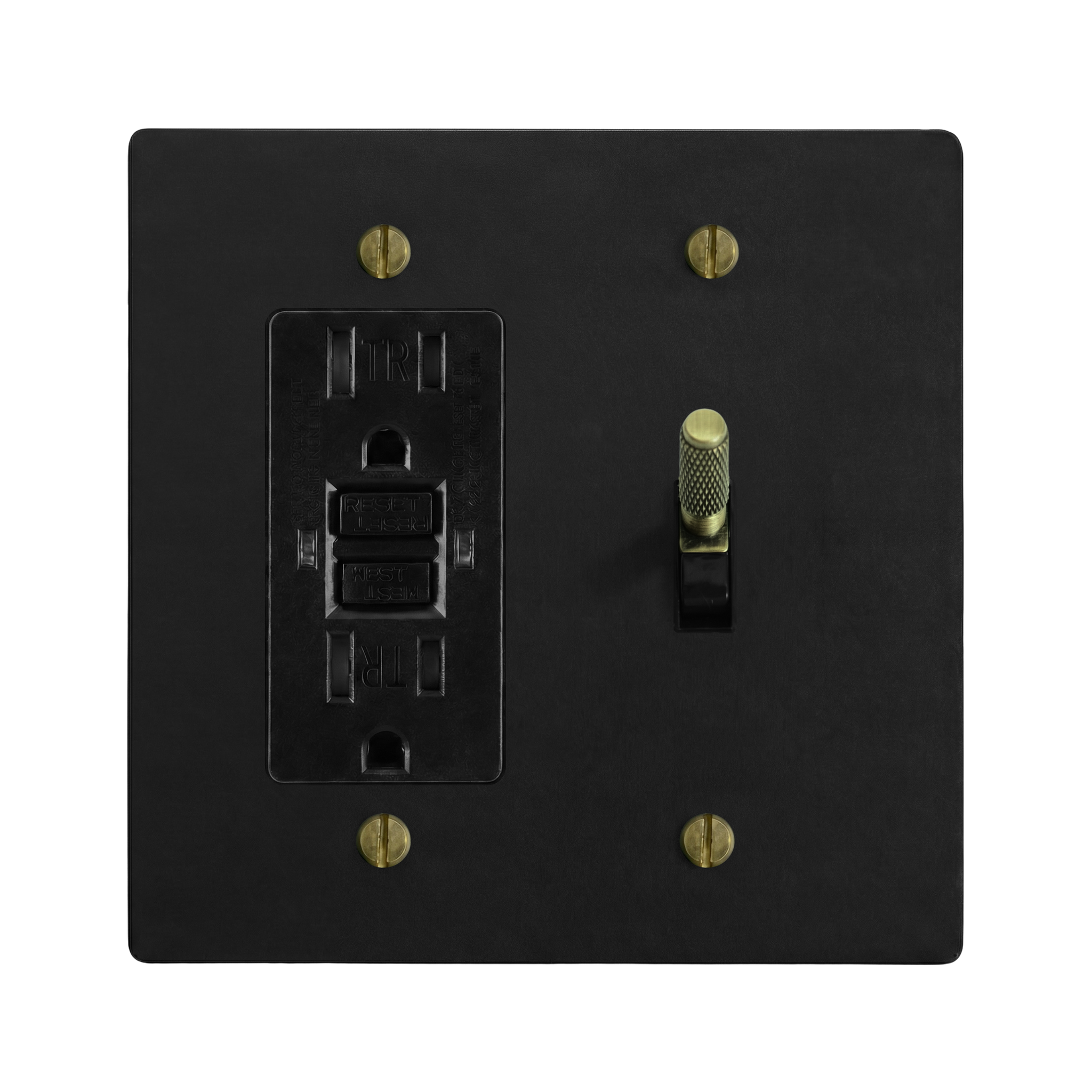 Matte Black (Antique Brass Accents) 2-Gang GFCI Outlet & Toggle Switch Plate in Black