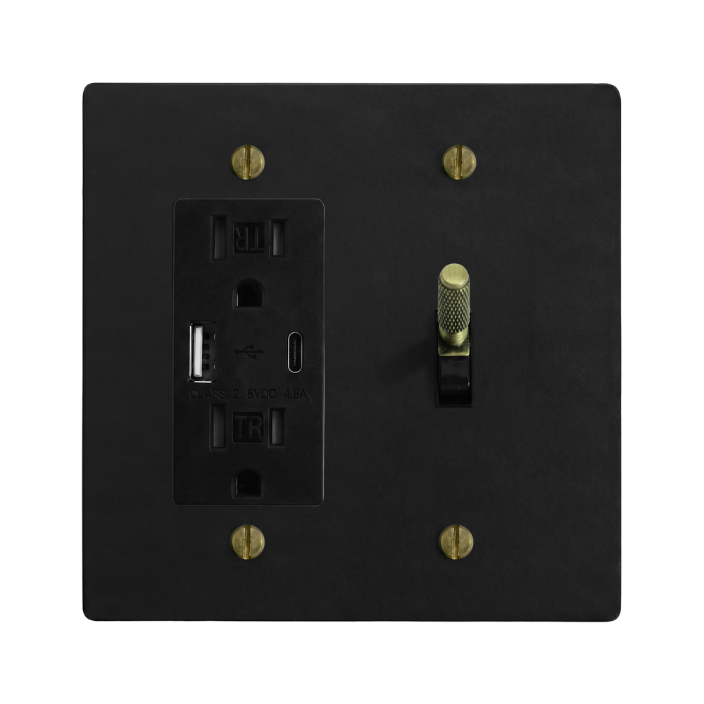 Matte Black (Antique Brass Accents) 2-Gang USB Outlet & Toggle Switch Plate in Black