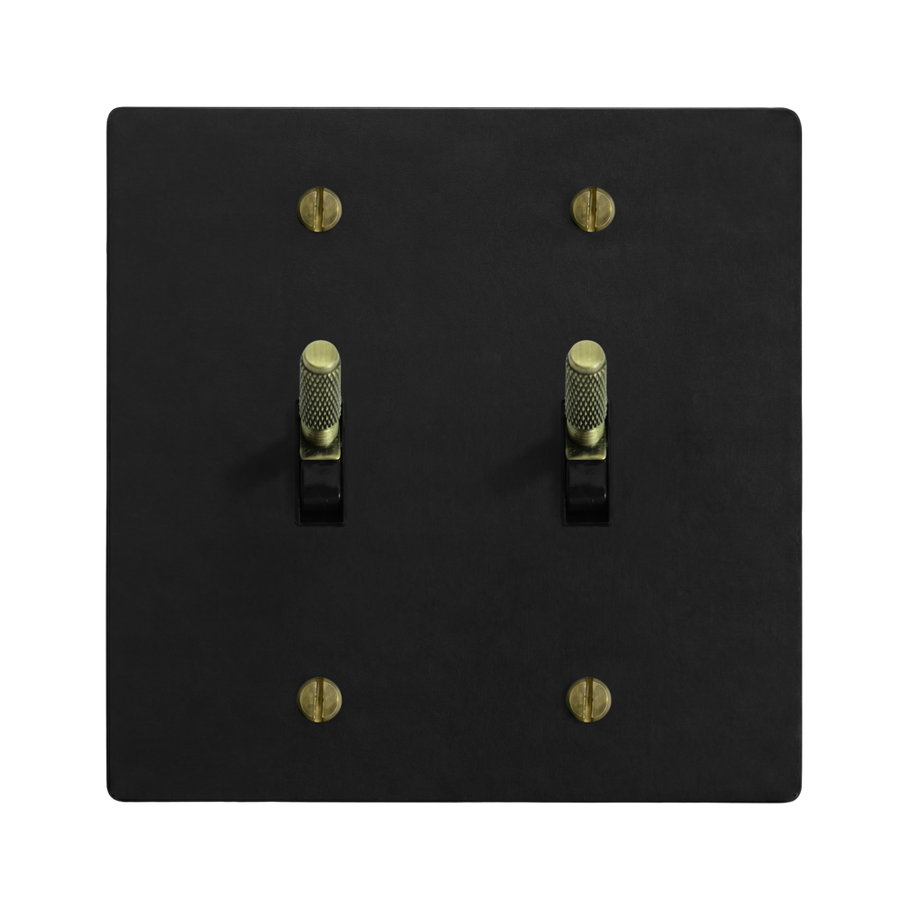 Matte Black (Antique Brass Accents) 2-Gang Toggle & Toggle Switch Plate in Black