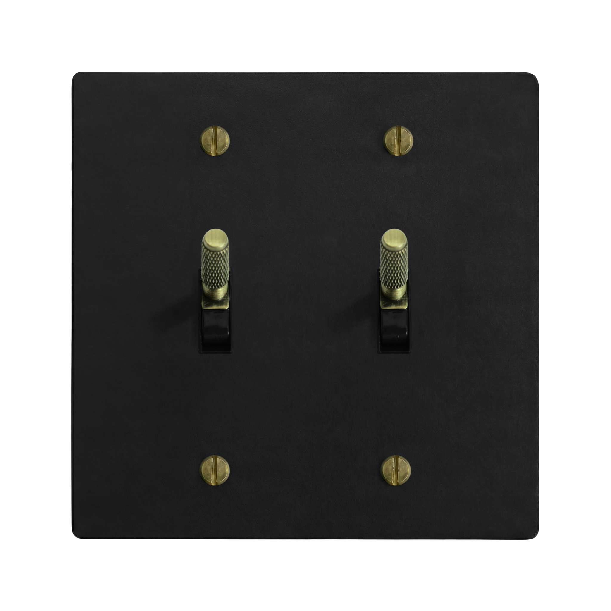 Matte Black (Antique Brass Accents) 2-Gang Toggle & Toggle Switch Plate in Black