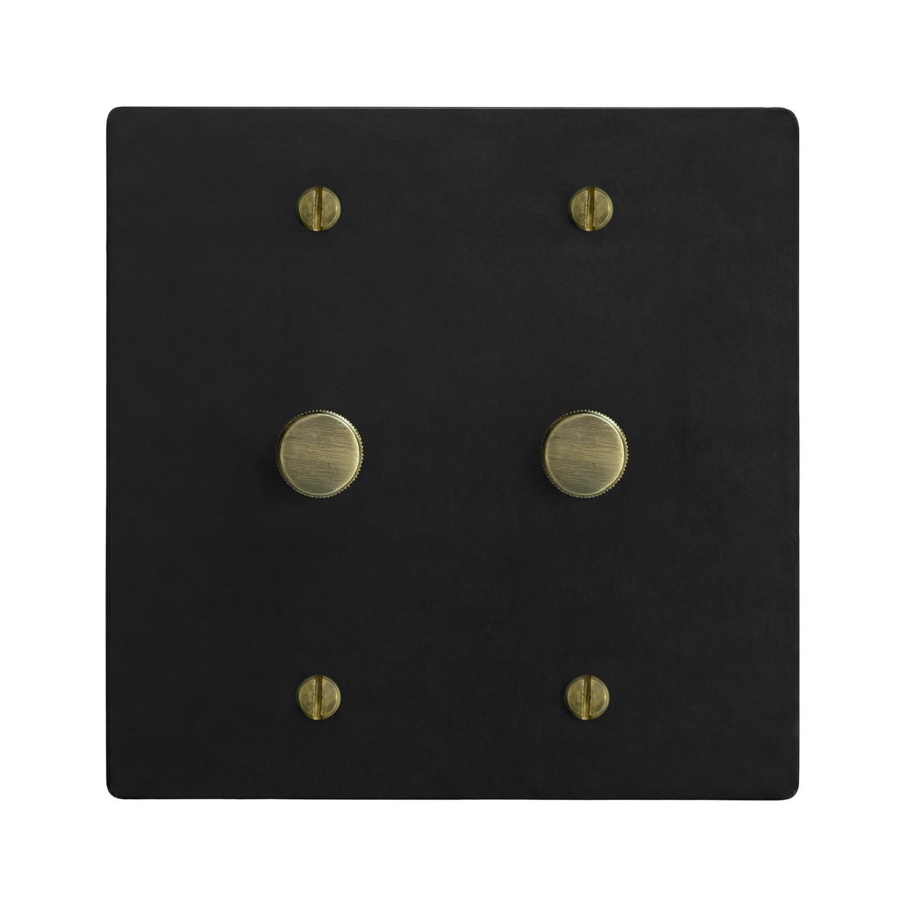 Matte Black (Antique Brass Accents) 2-Gang Dimmer & Dimmer Switch Plate