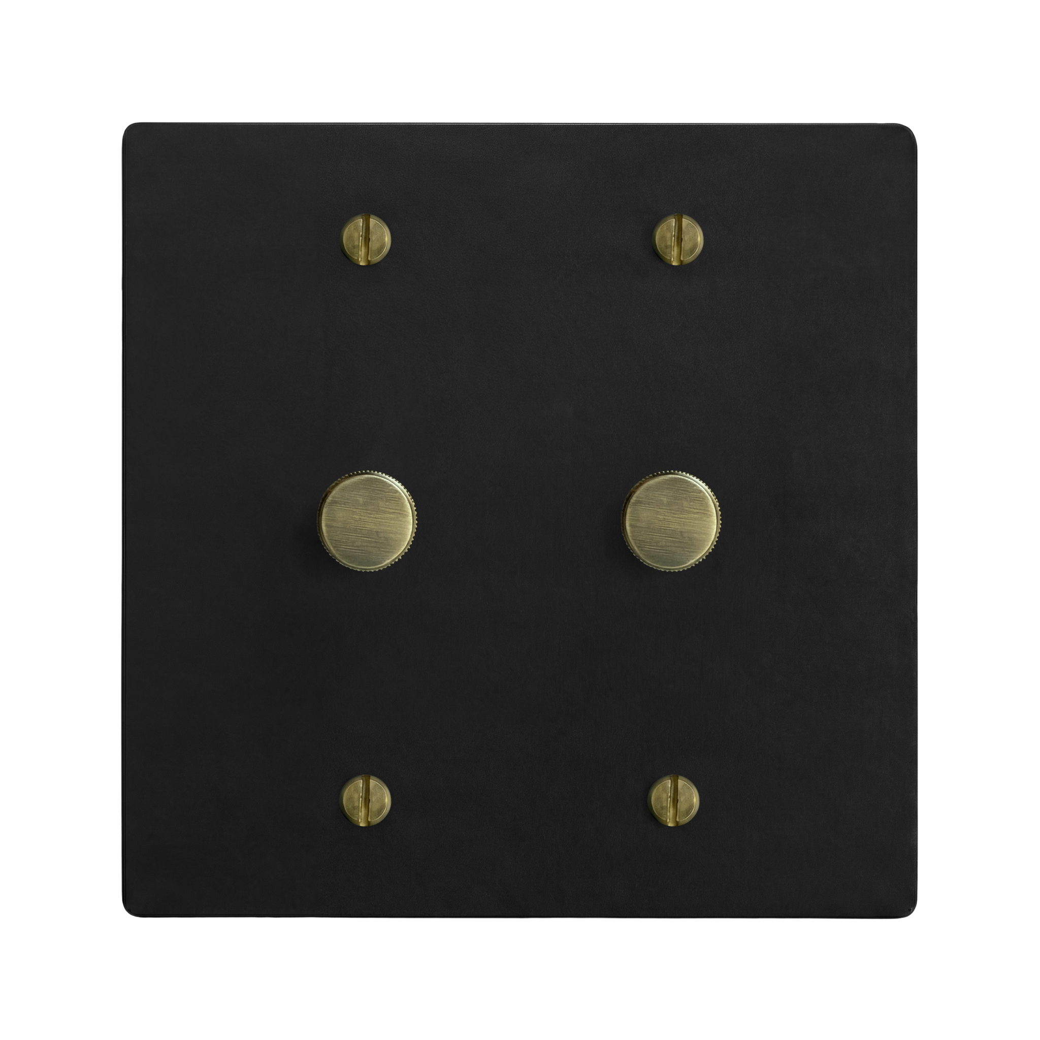 Matte Black (Antique Brass Accents) 2-Gang Dimmer & Dimmer Switch Plate