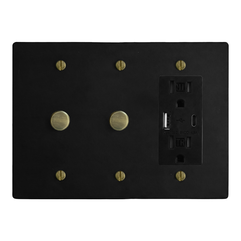 Matte Black (Antique Brass Accents) 3-Gang Dimmer, Dimmer & USB Outlet Switch Plate in Black