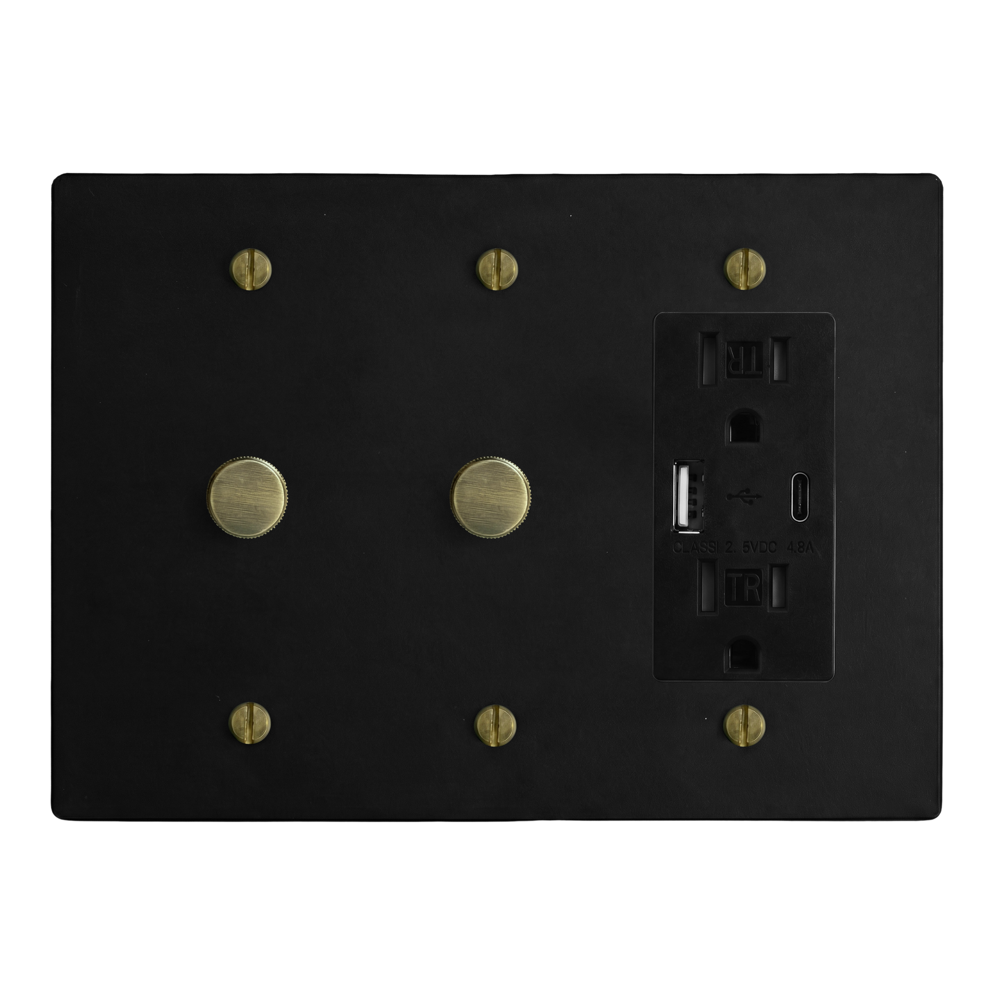 Matte Black (Antique Brass Accents) 3-Gang Dimmer, Dimmer & USB Outlet Switch Plate in Black