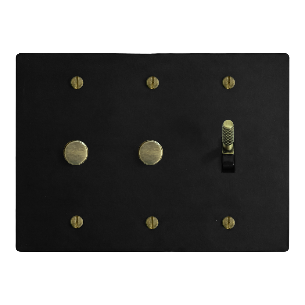 Matte Black (Antique Brass Accents) 3-Gang Dimmer, Dimmer & Toggle Switch Plate in Black