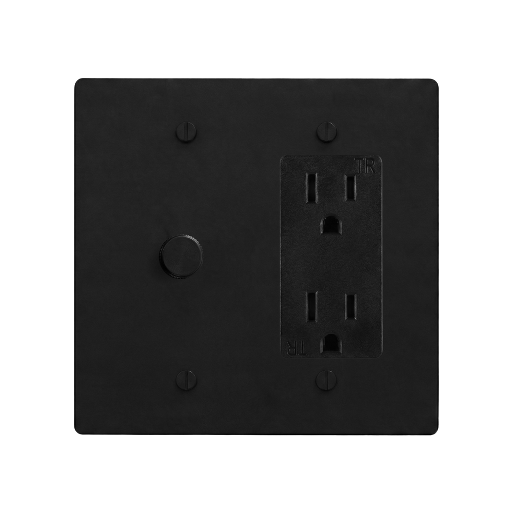 Matte Black (Matte Black Accents) 2-Gang Dimmer & Duplex Outlet Switch Plate in Black