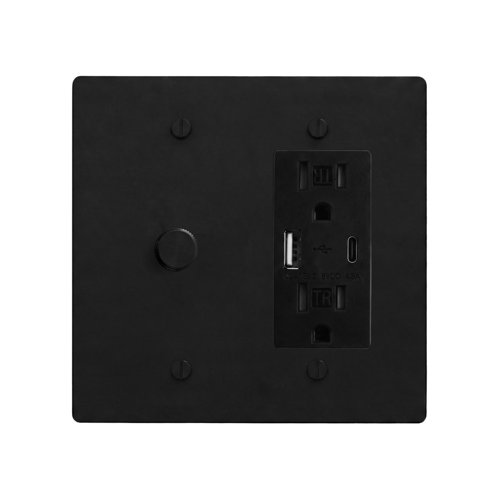Matte Black (Matte Black Accents) 2-Gang Dimmer & USB Outlet Switch Plate in Black
