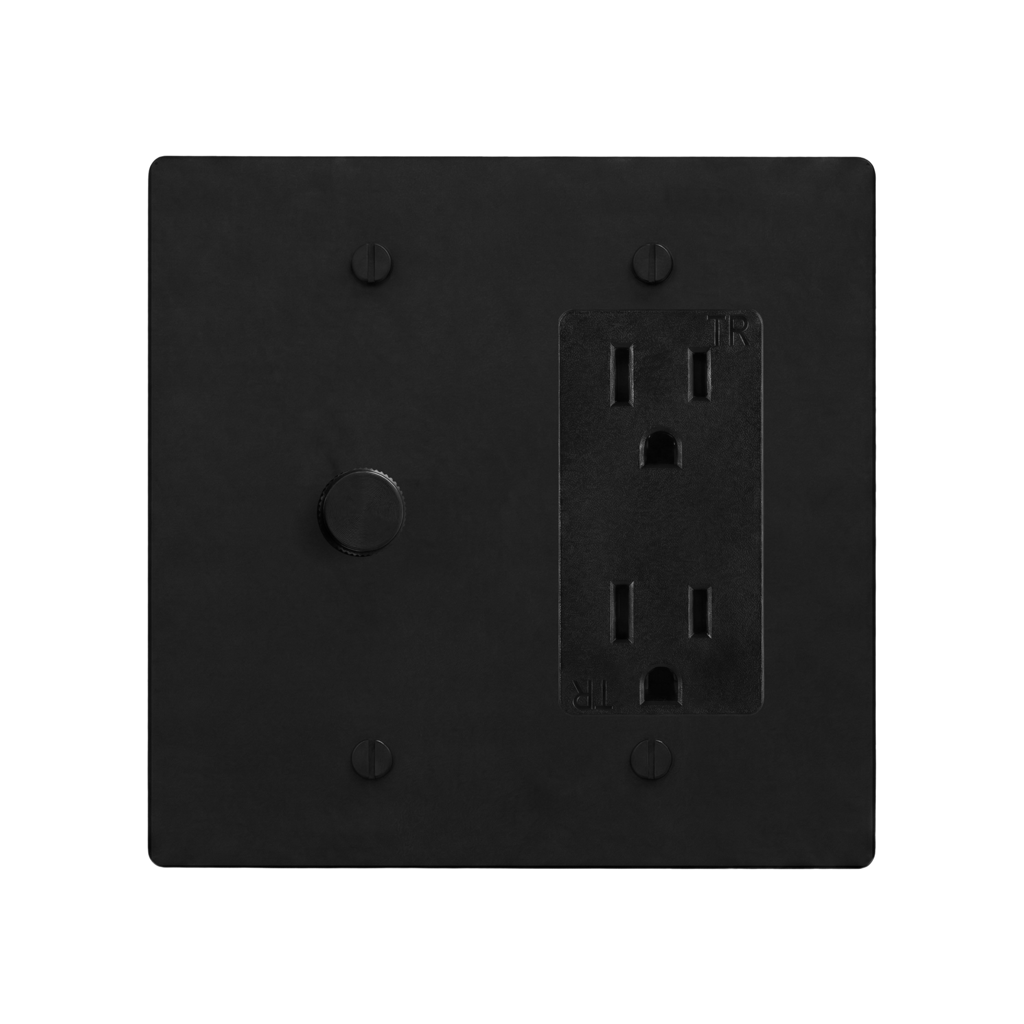 Matte Black (Matte Black Accents) 2-Gang Dimmer & Duplex Outlet Switch Plate in Black