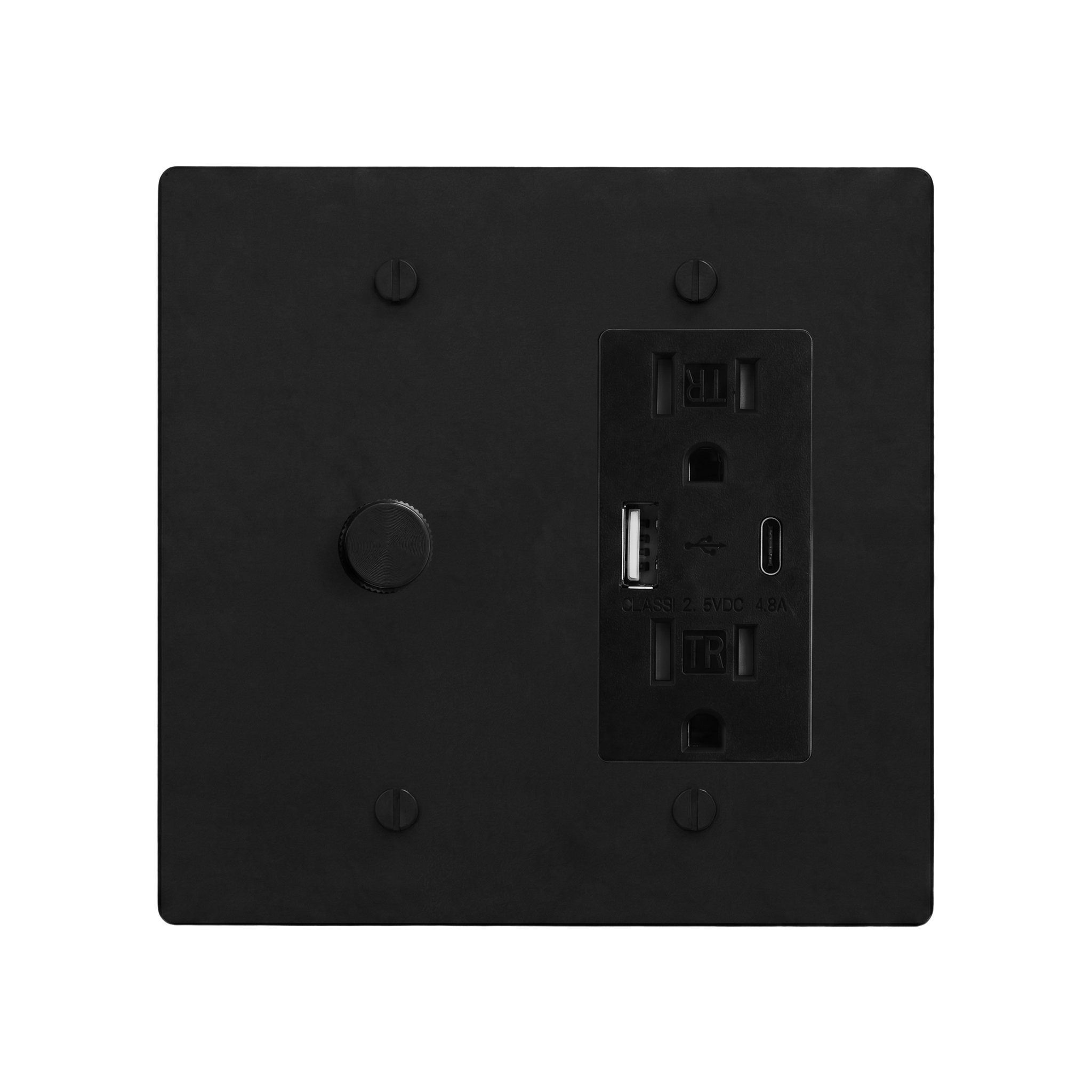 Matte Black (Matte Black Accents) 2-Gang Dimmer & USB Outlet Switch Plate in Black