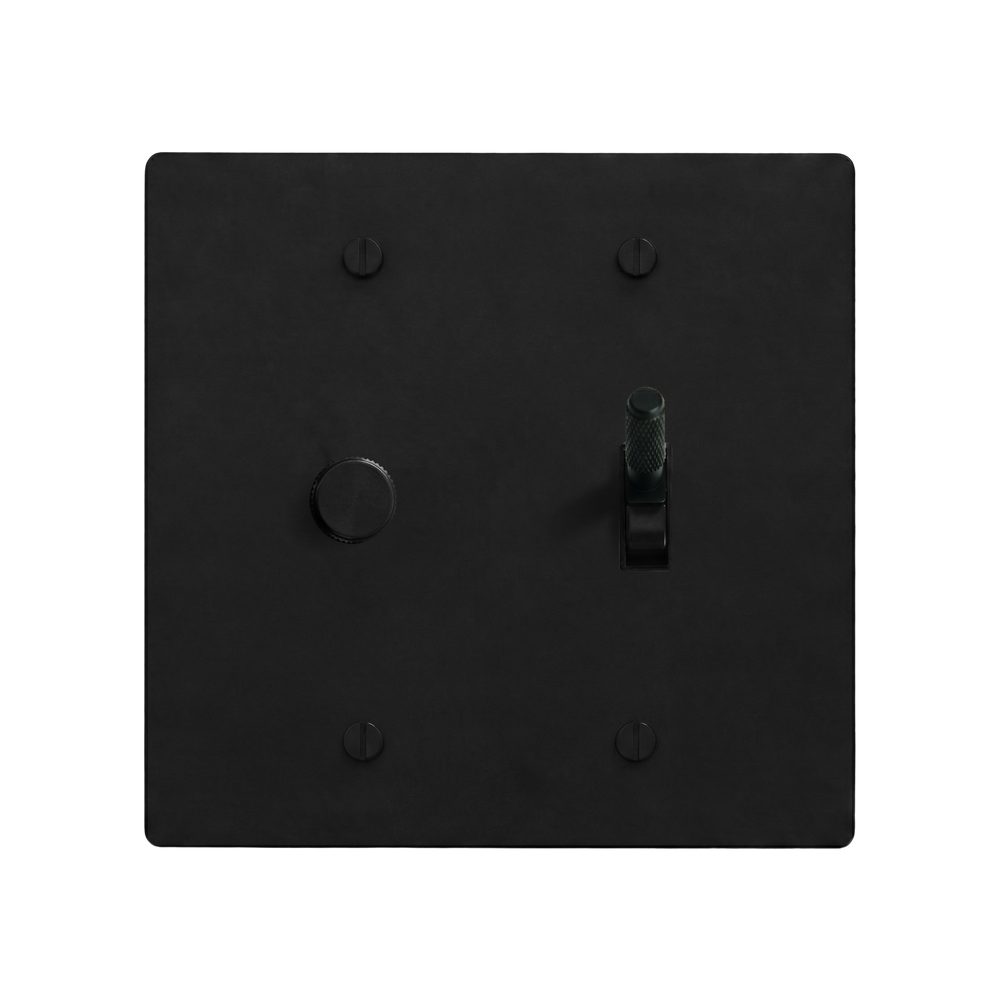 Matte Black (Matte Black Accents) 2-Gang Dimmer & Toggle Switch Plate in Black