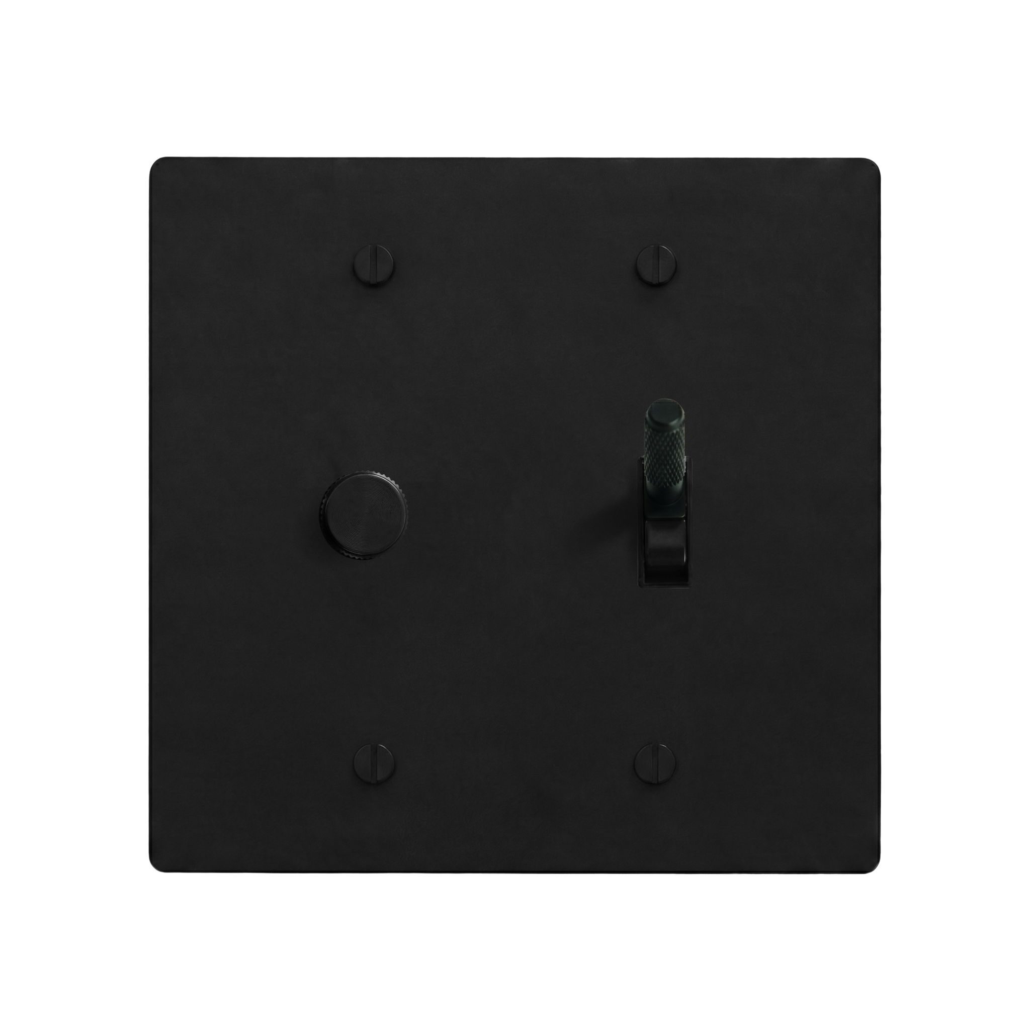 Matte Black (Matte Black Accents) 2-Gang Dimmer & Toggle Switch Plate in Black