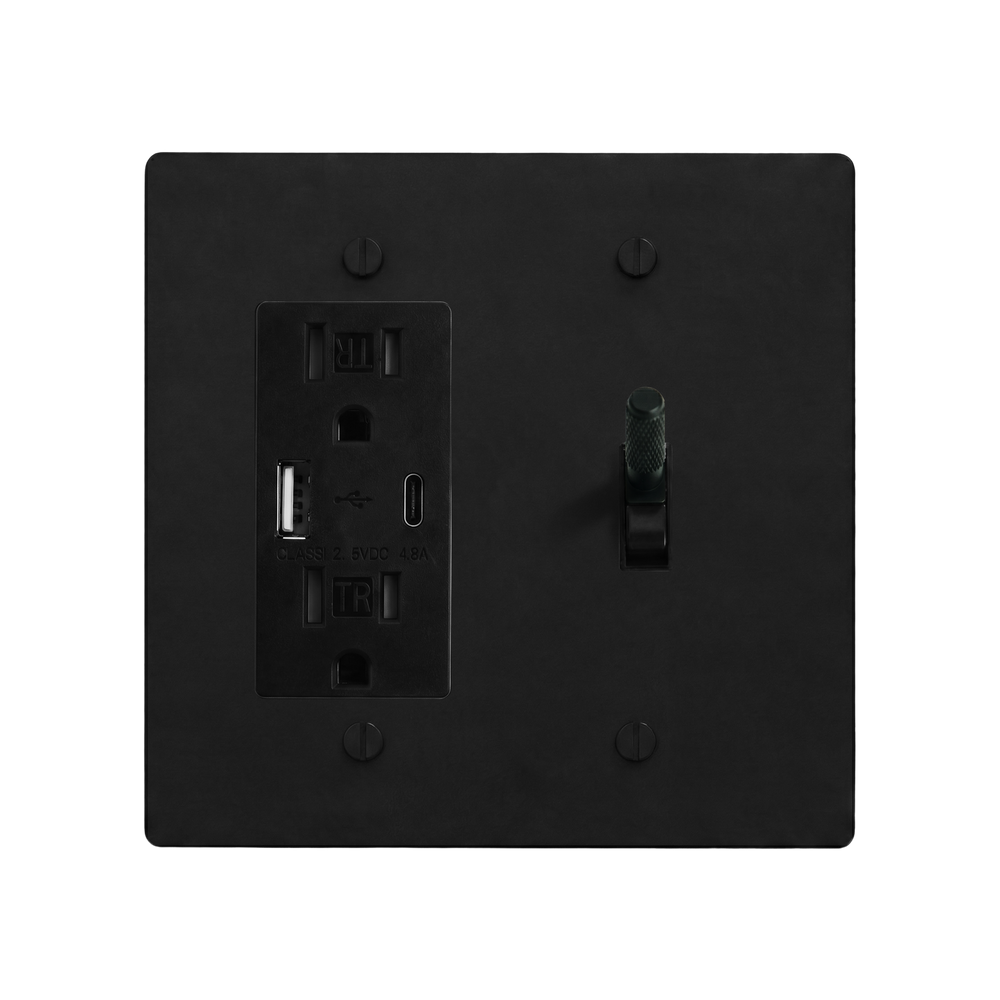 Matte Black (Matte Black Accents) 2-Gang USB Outlet & Toggle Switch Plate in Black