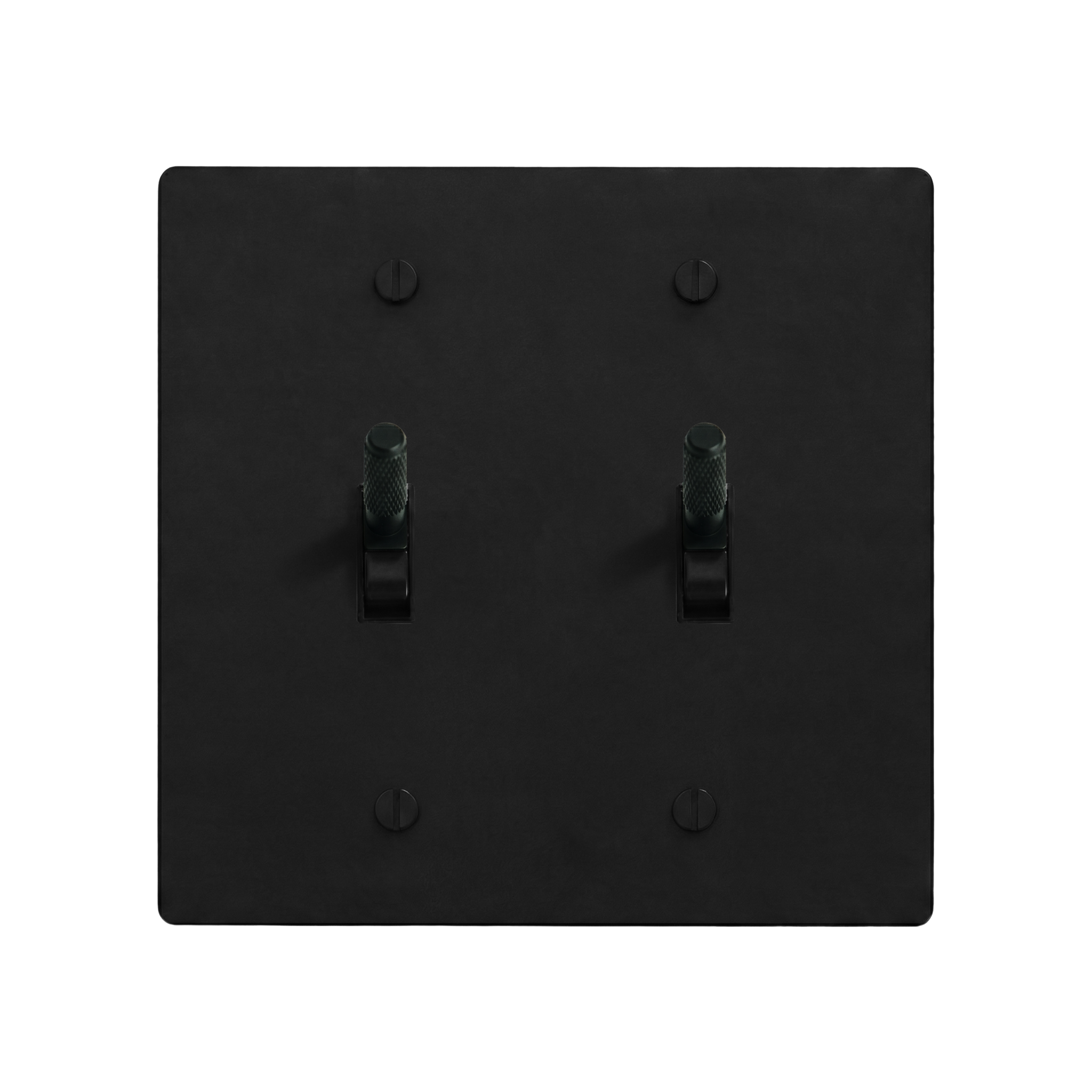Matte Black (Matte Black Accents) 2-Gang Toggle & Toggle Switch Plate in Black
