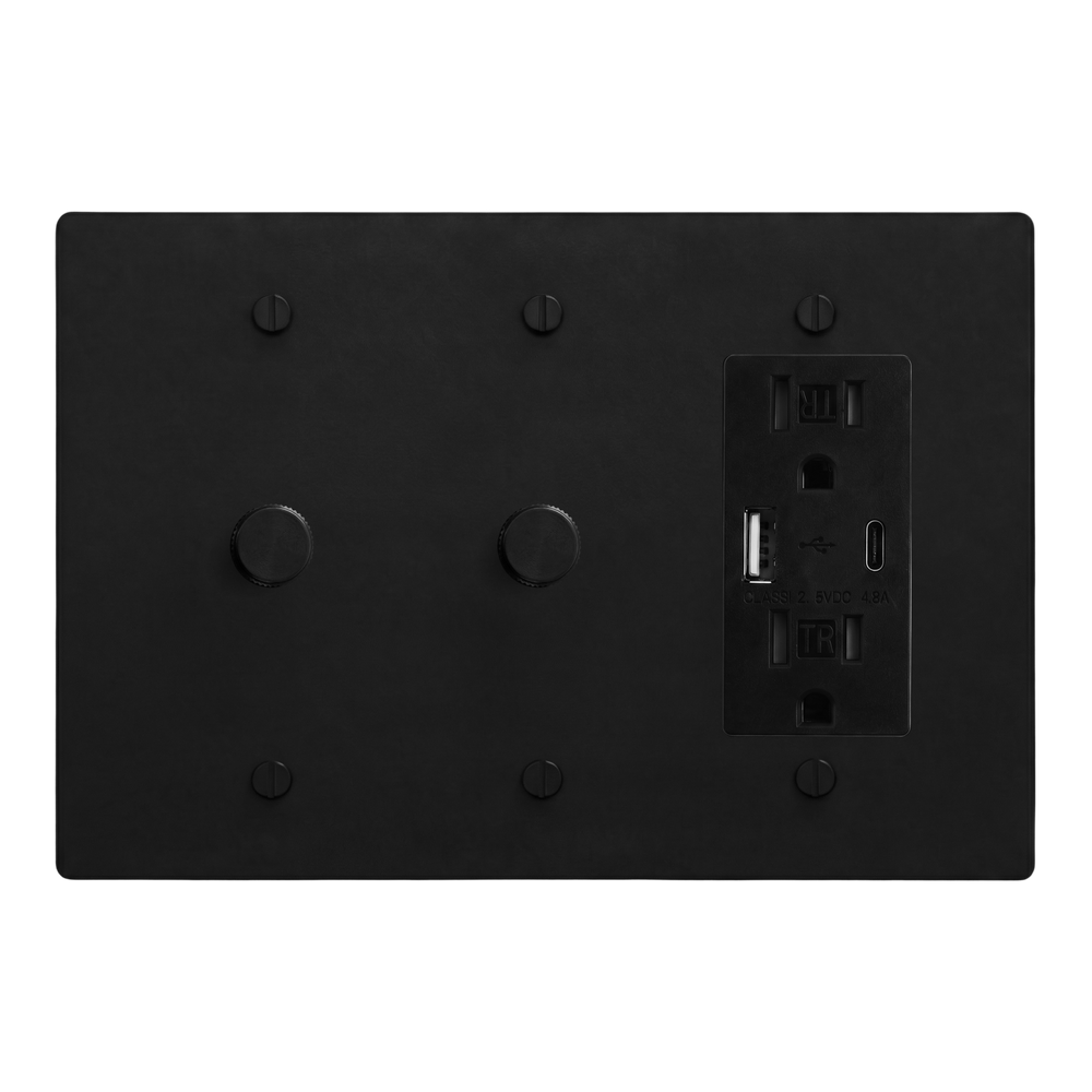 Matte Black (Matte Black Accents) 3-Gang Dimmer, Dimmer & USB Outlet Switch Plate in Black