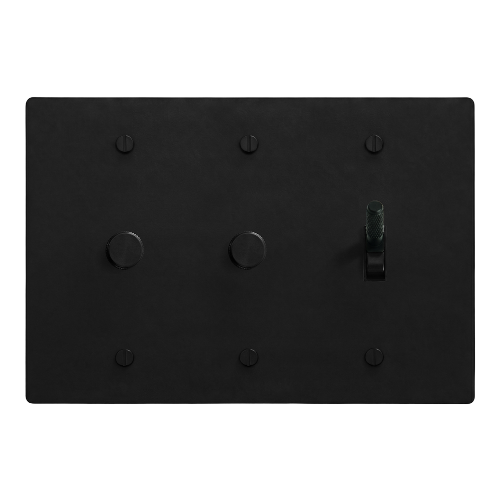 Matte Black (Matte Black Accents) 3-Gang Dimmer, Dimmer & Toggle Switch Plate in Black