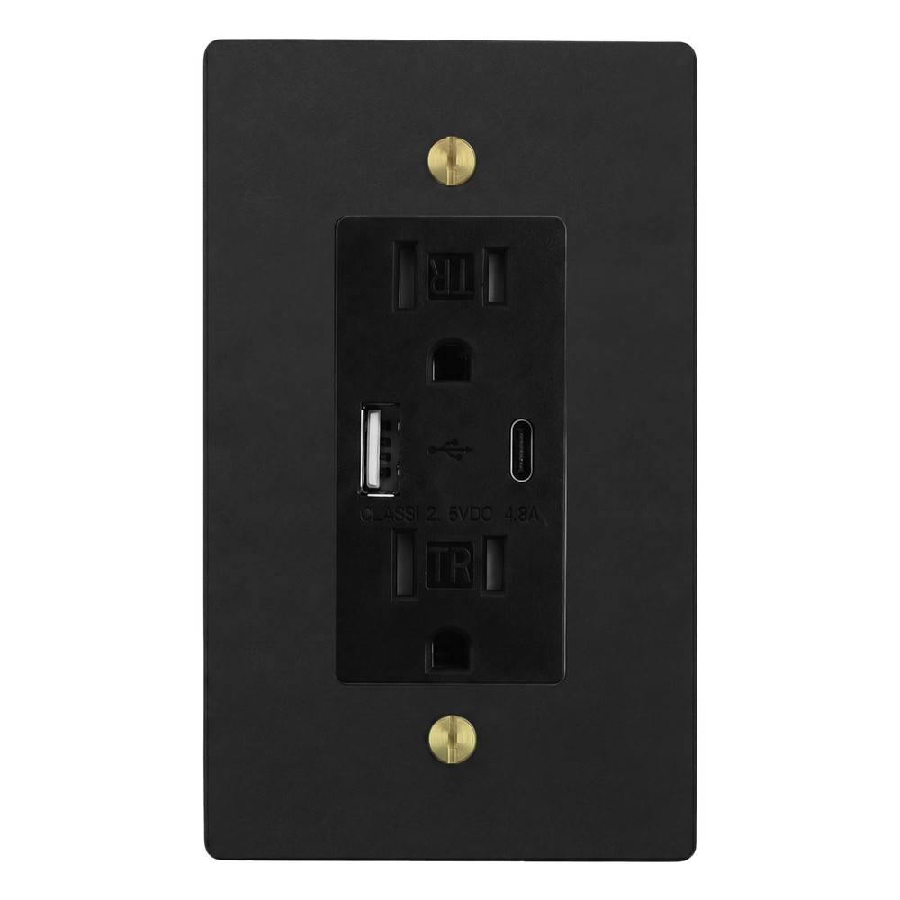 Matte Black (Satin Brass Accents) 1-Gang USB Outlet Switch Plate in Black