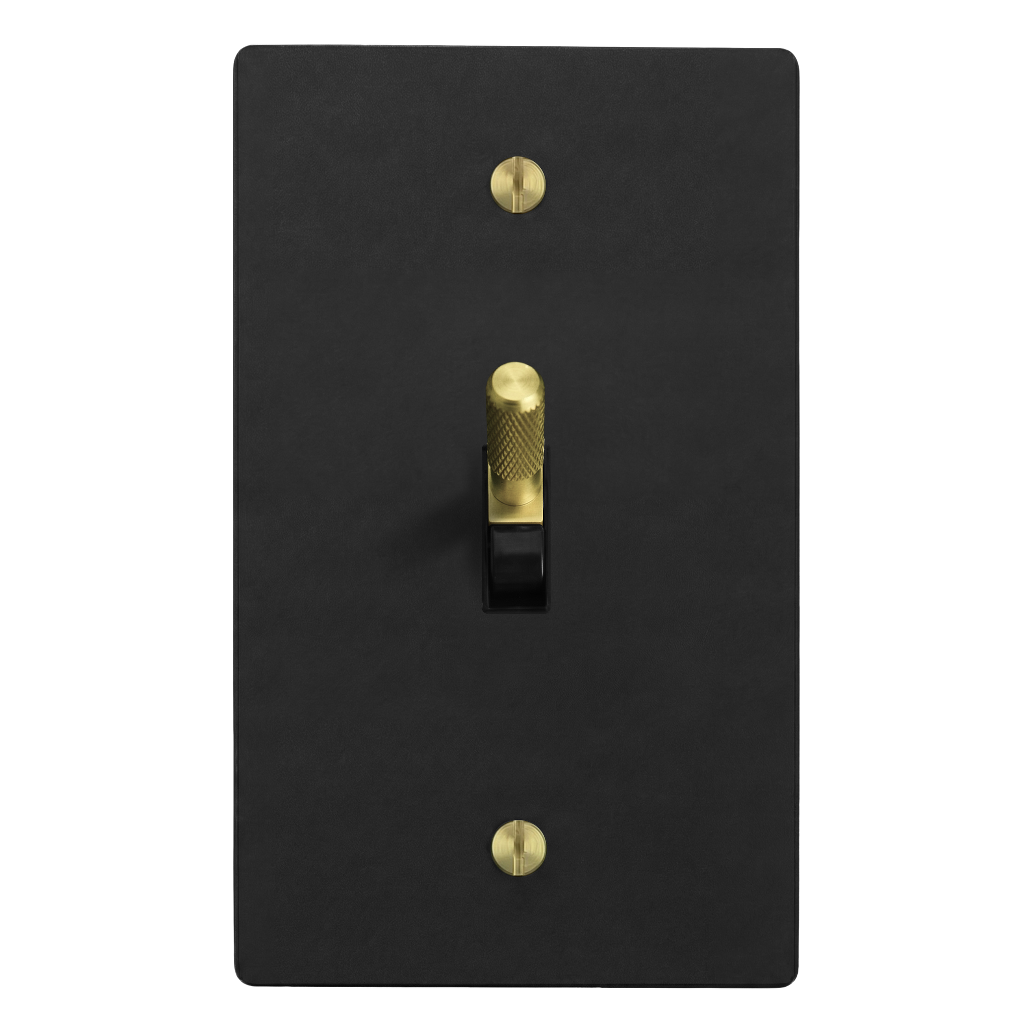 Matte Black (Satin Brass Accents) 1-Gang Toggle Switch Plate in Black