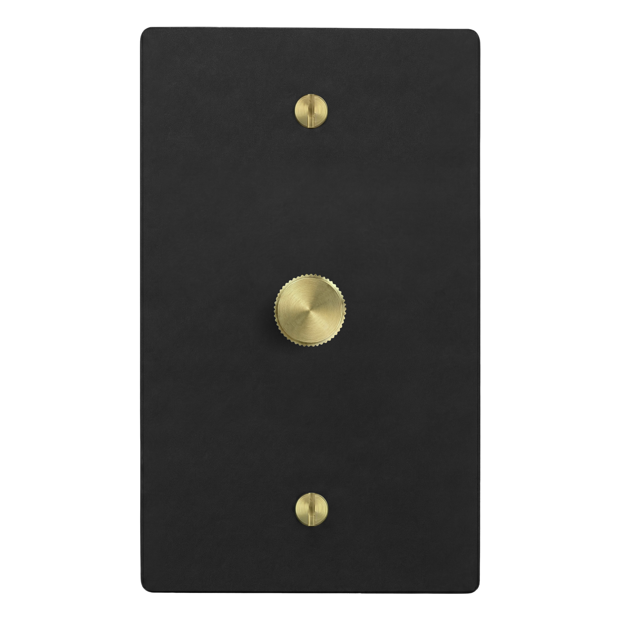 Matte Black (Satin Brass Accents) 1-Gang Dimmer Switch Plate