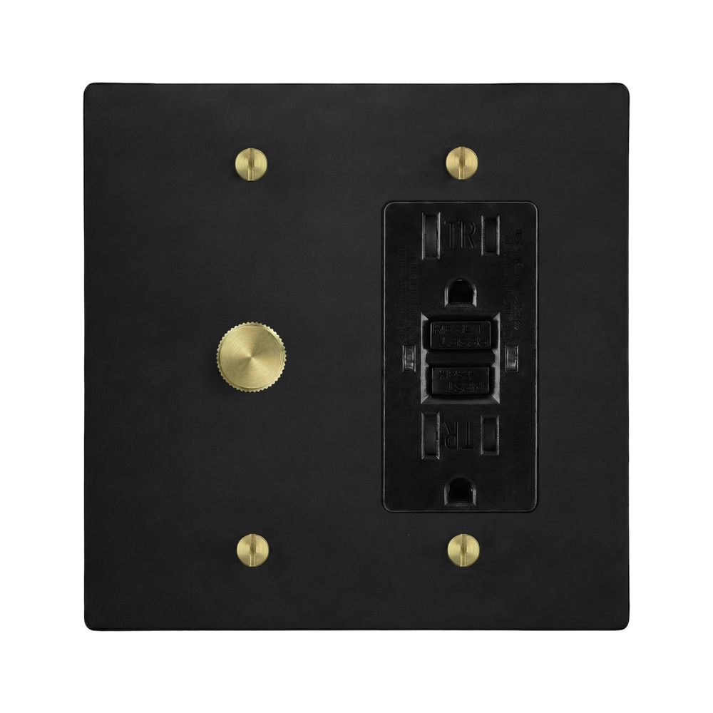 Matte Black (Satin Brass Accents) 2-Gang Dimmer & GFCI Outlet Switch Plate in Black