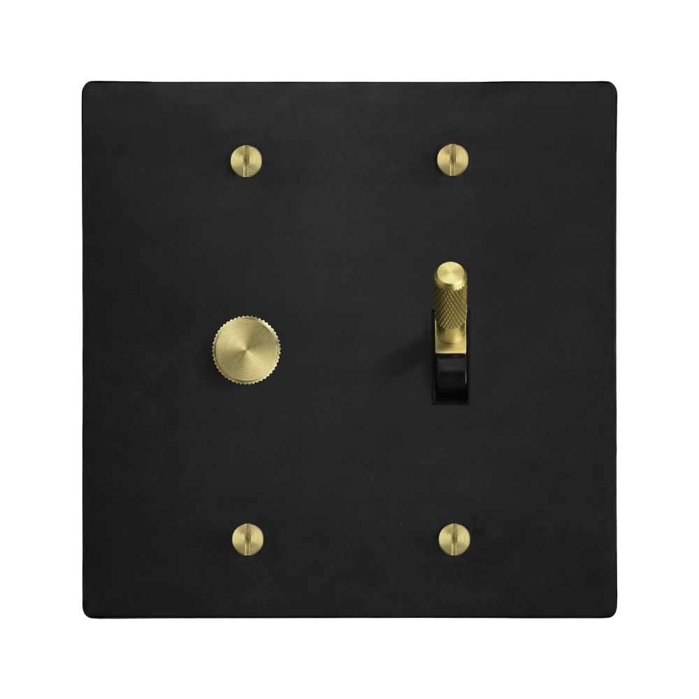 Matte Black (Satin Brass Accents) 2-Gang Dimmer & Toggle Switch Plate in Black